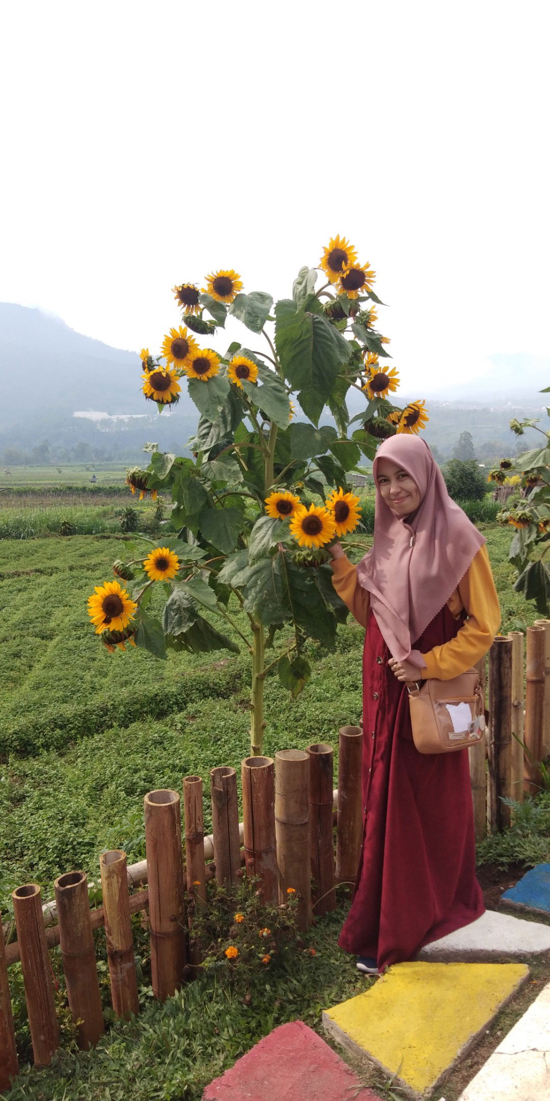 muhlisha hafid profile icon