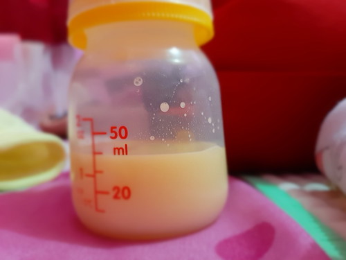asiku kuning