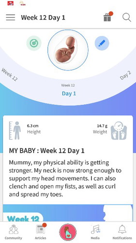 First trimester