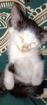 Oktavina Firdatul profile icon