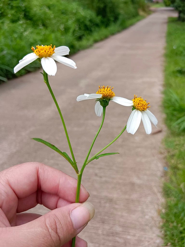 พี่น้อง ต.เต่า profile icon