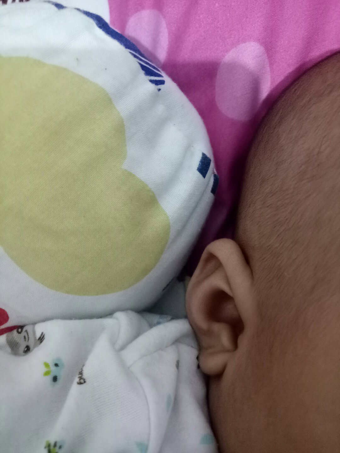 telinga bayi