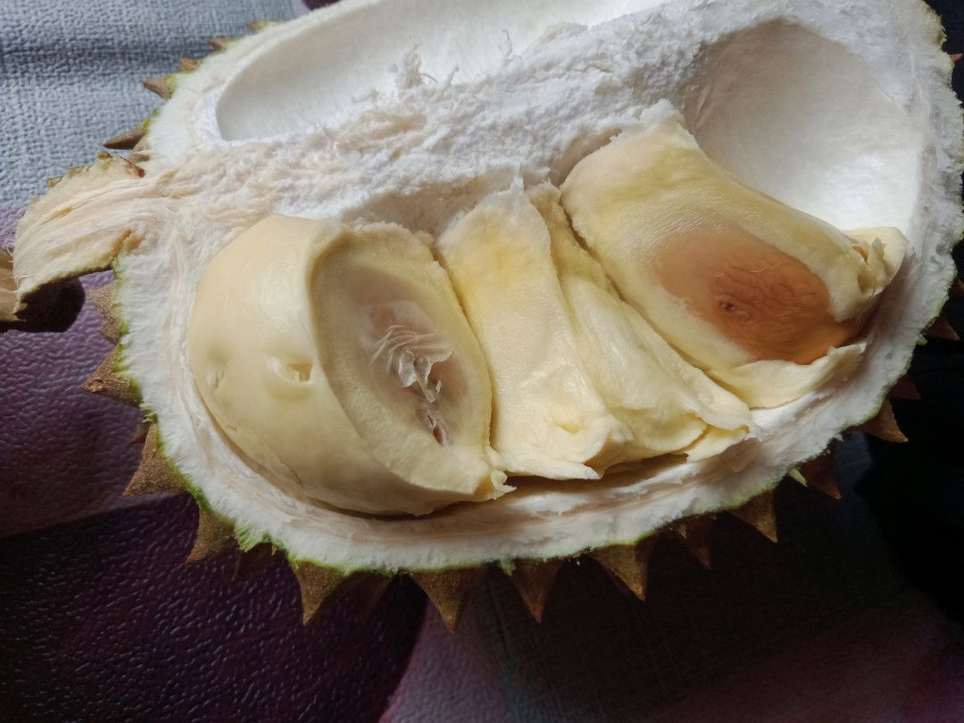 Makan durian saat hamil