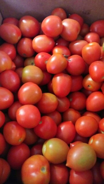 hardiyanti profile icon