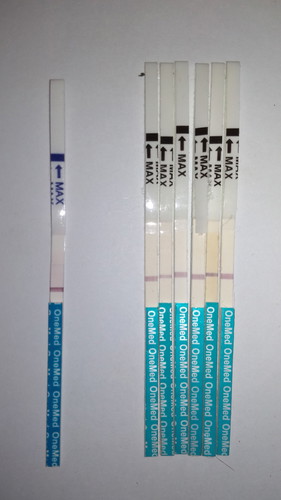 apakah benar ini hamil?