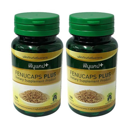 บำรุงน้ำนม