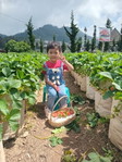 Mbok Selina Dmy profile icon