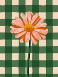 Sha profile icon