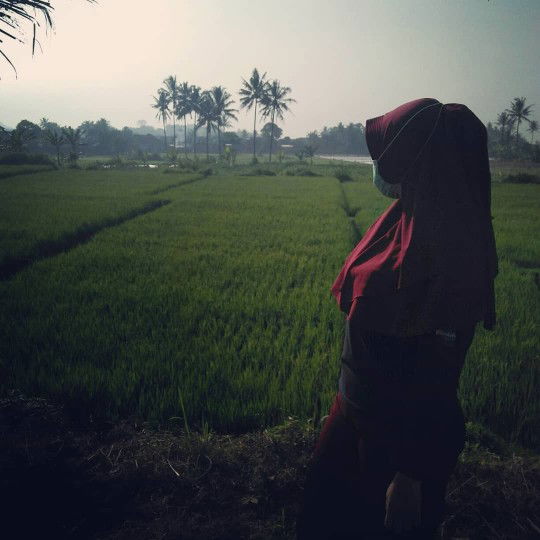 syifa fauziah profile icon