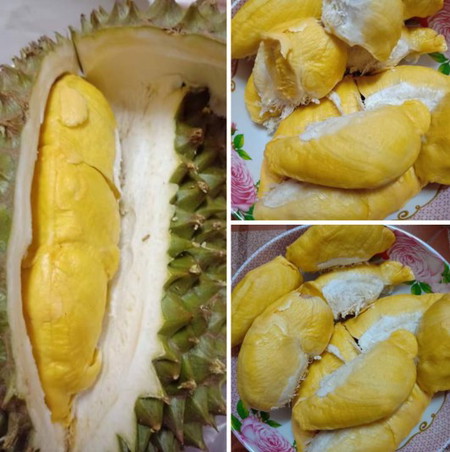 ทุเรียนกับคนท้อง