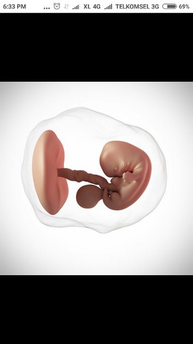 hamil mudaa...