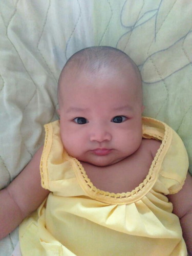 หนูพรีม