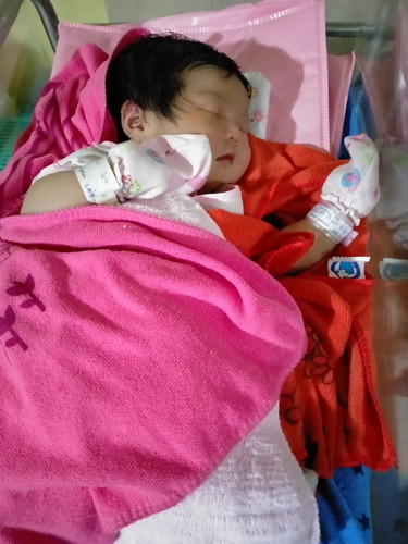 ความภูมิใจของฉัน