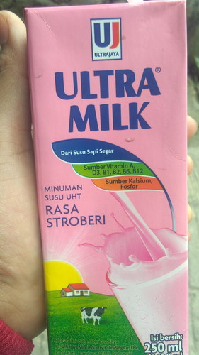 susu hamil