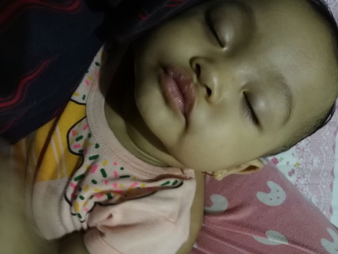 Jadwal Makan Fleksibel