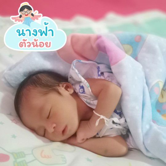 Pan Pimlapat Talvilas profile icon