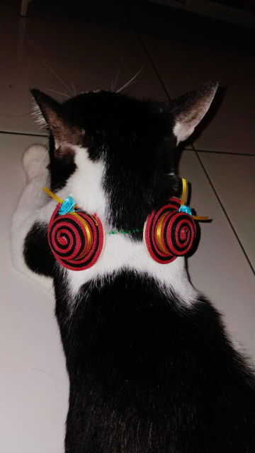 Nurulfbr profile icon