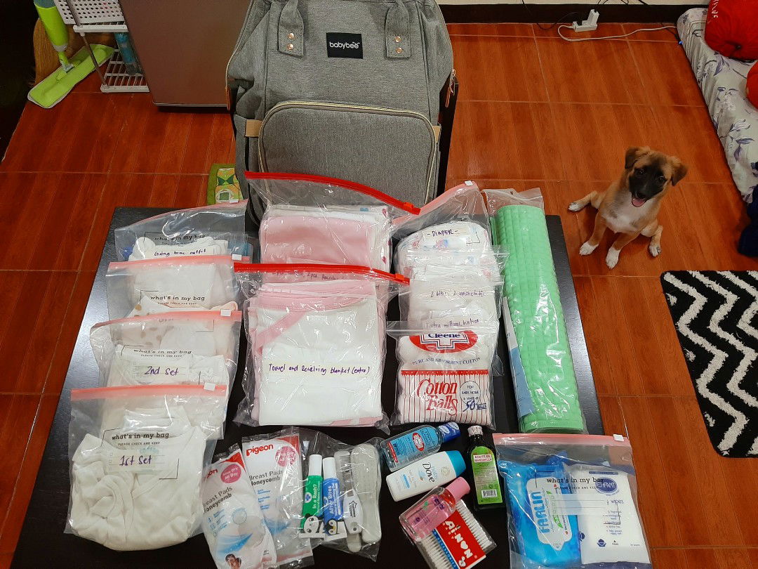 Baby and Mommy Hospital Bag (Team April)