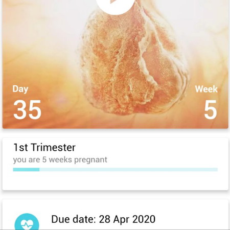 Pregnancy Apps tepat ke?
