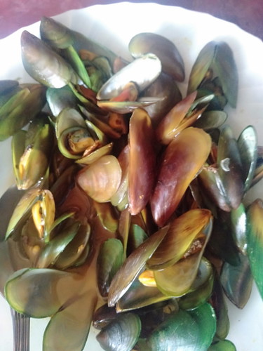 Kerang