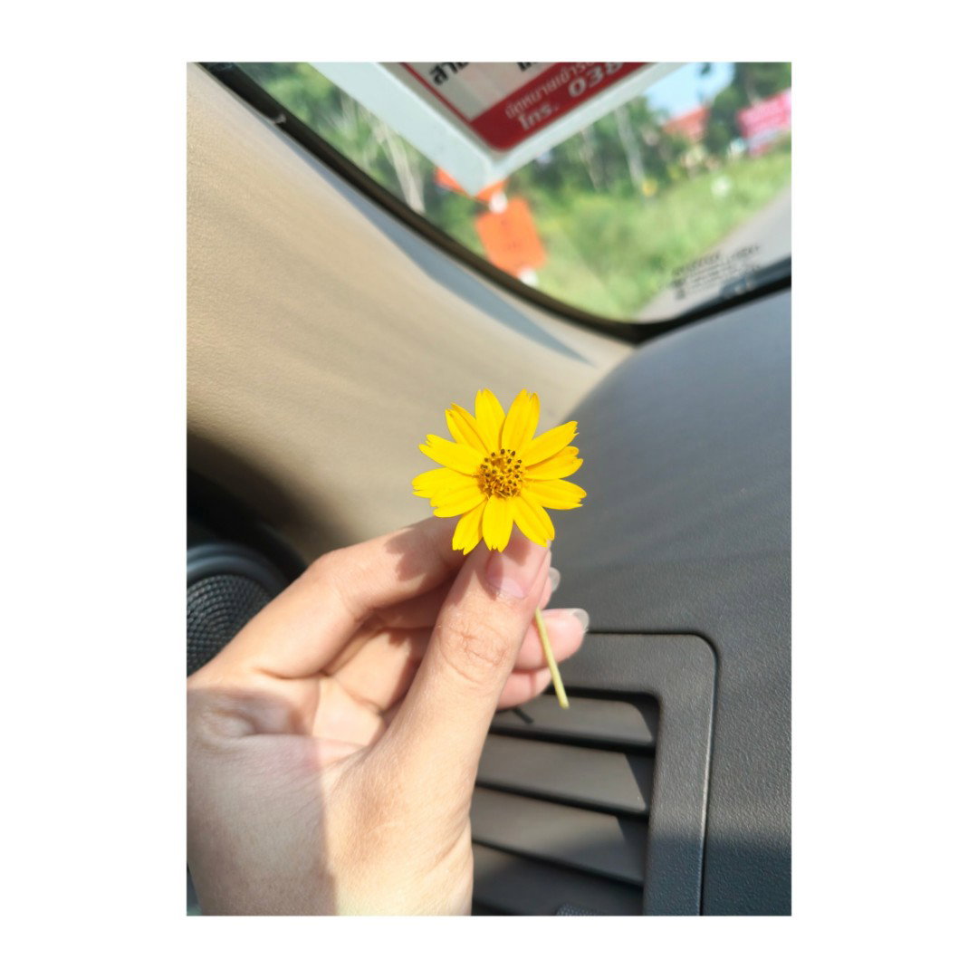 ณัฐชยา profile icon