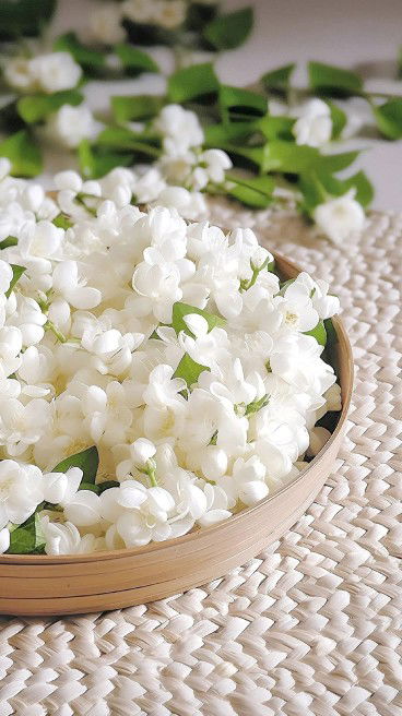 sari marlina profile icon