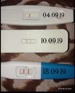 Urine Pregnancy Test