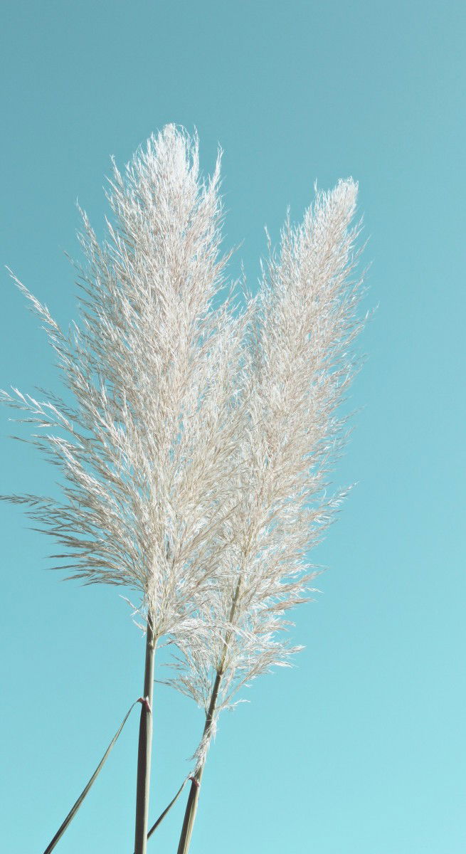 Kiki Ayu profile icon