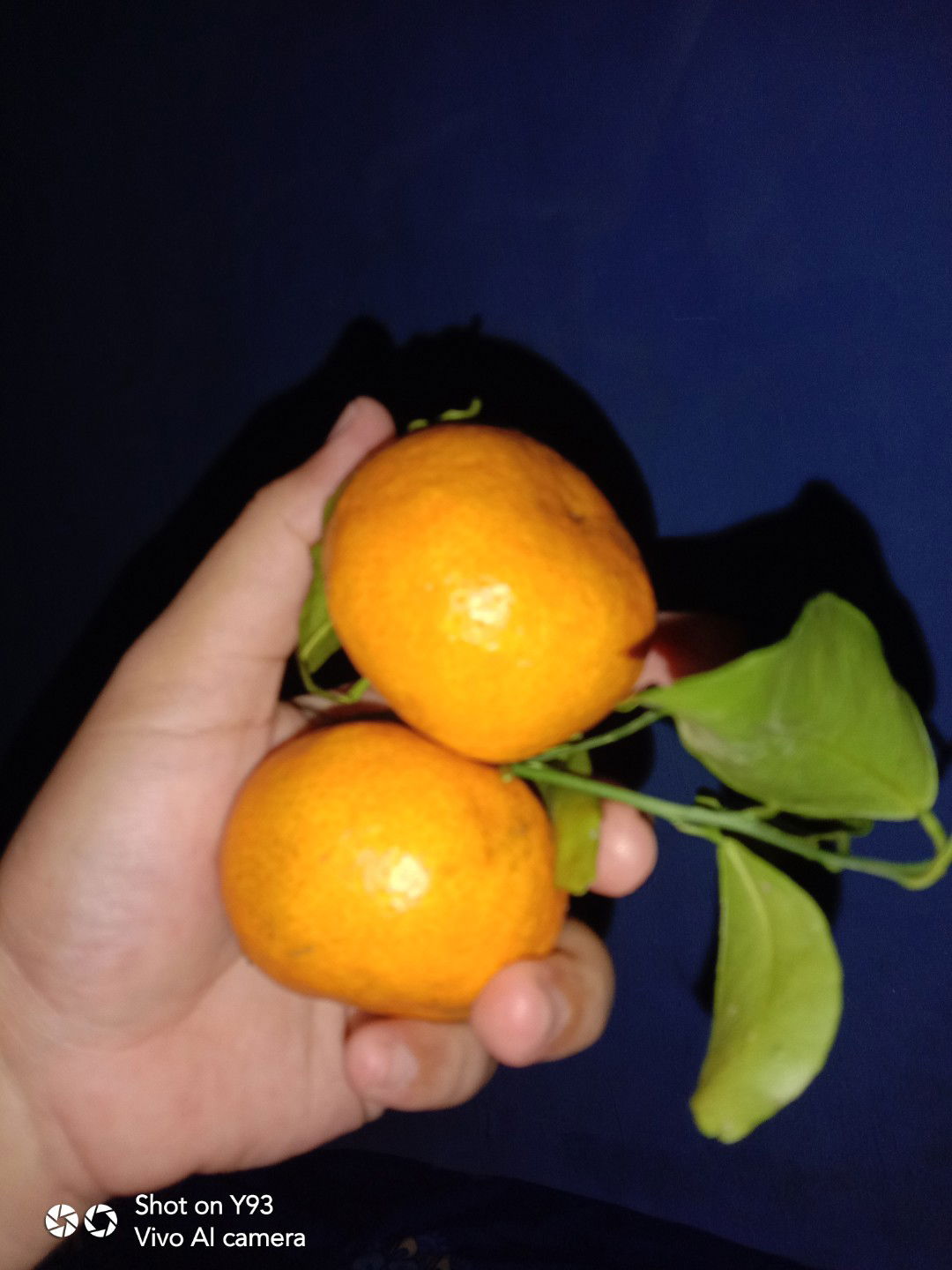 Asieh Ayu Dita profile icon