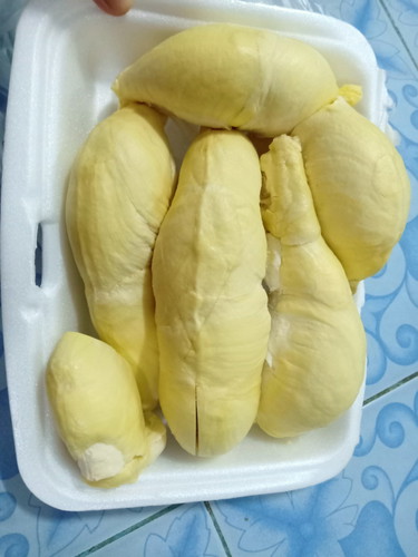 อิแม่หิวทุเรียน