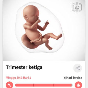 hpl tinggal 6 hari lagi :(