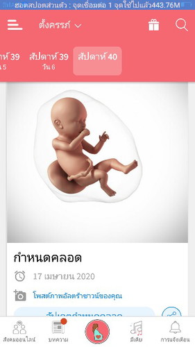 กำหนดคลอด