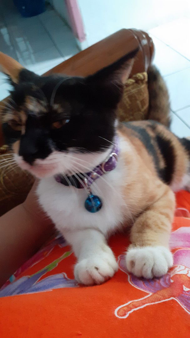 Mira  sopian profile icon