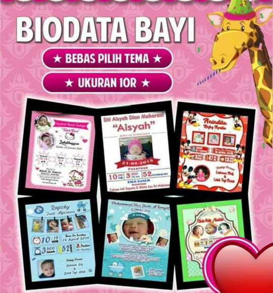BIODATA BABY