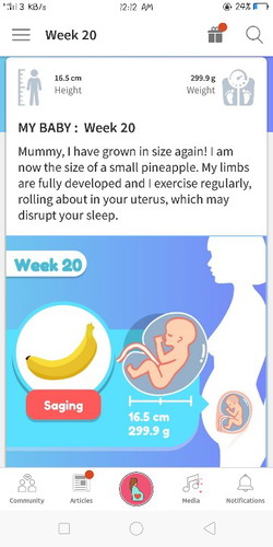 week 20