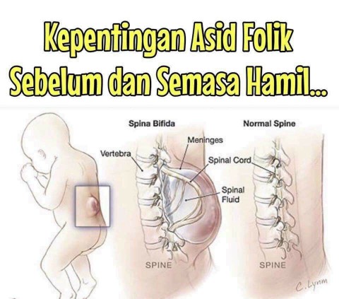 asid folik