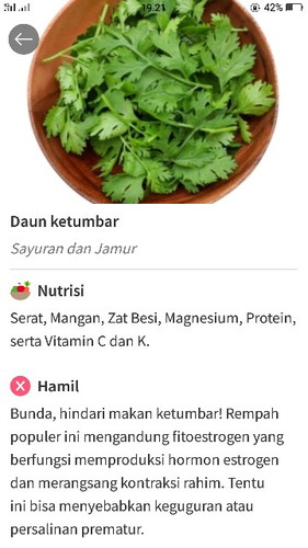 daun ketumbar