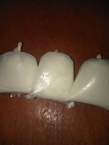 tentang kehamilan