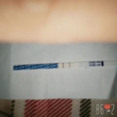 ตั้งครรภ์