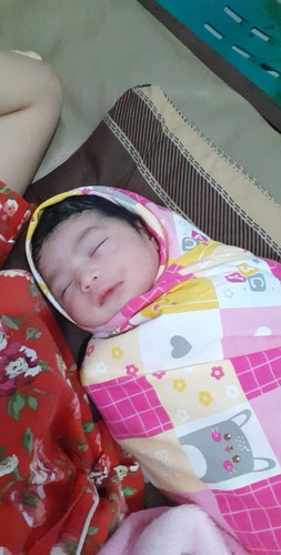 launching 19 desember hpl 31 des