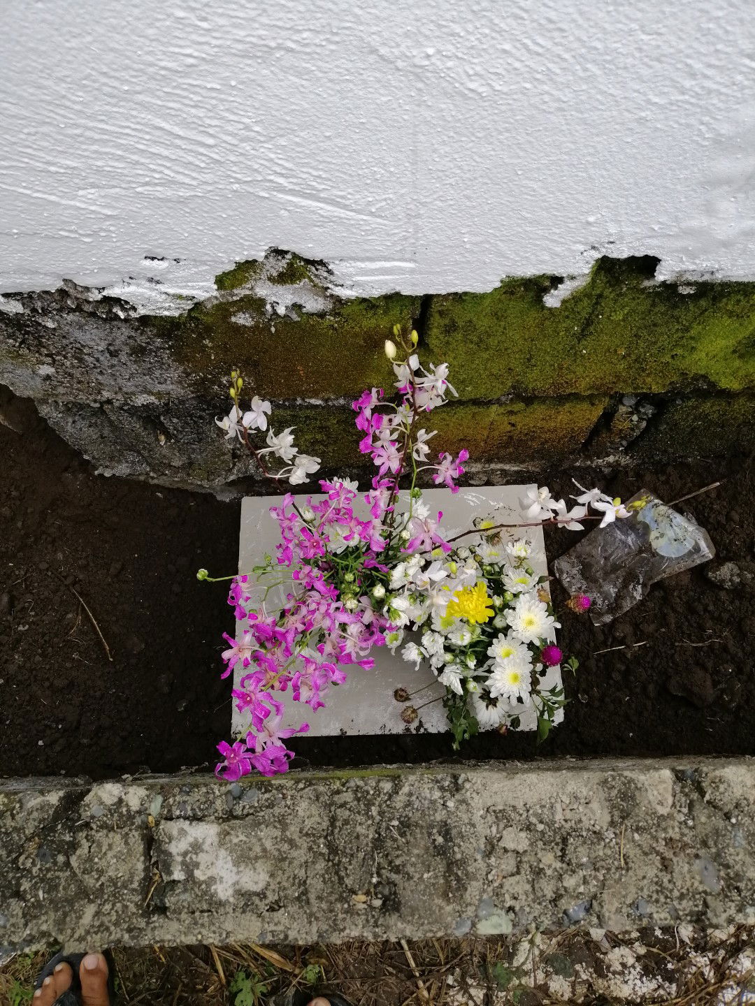 God Has A Better Plan 6months And Its The End Of My Pregnancy???????????