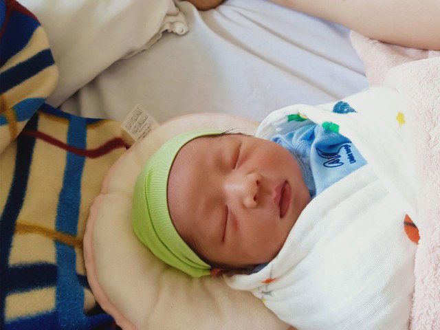 củ gai và dầu tràm