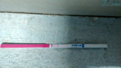 ovulation