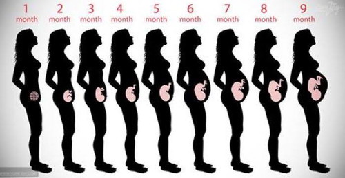 เอาไปดูนะคะ จะได้เลิกตั้งคำถามถามอีกว่าเล็กไปใหญ่ไปมั้ย