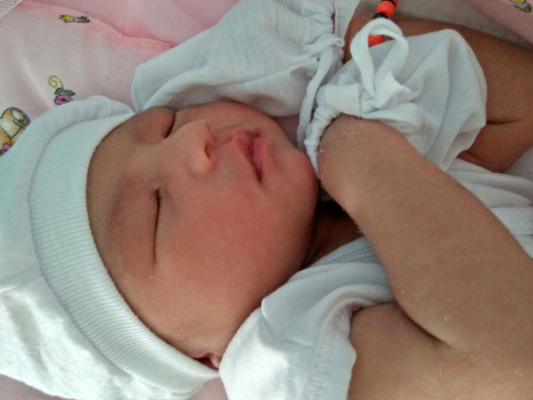 Elvira Bola profile icon