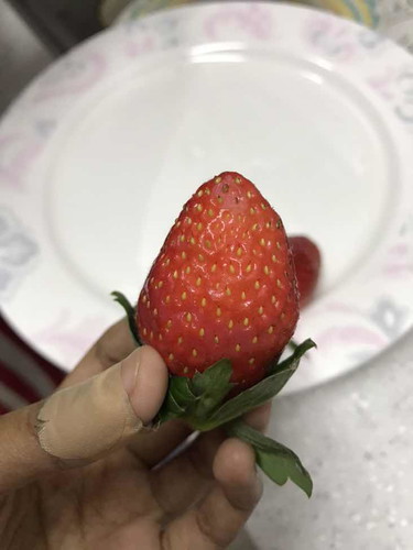 ??????