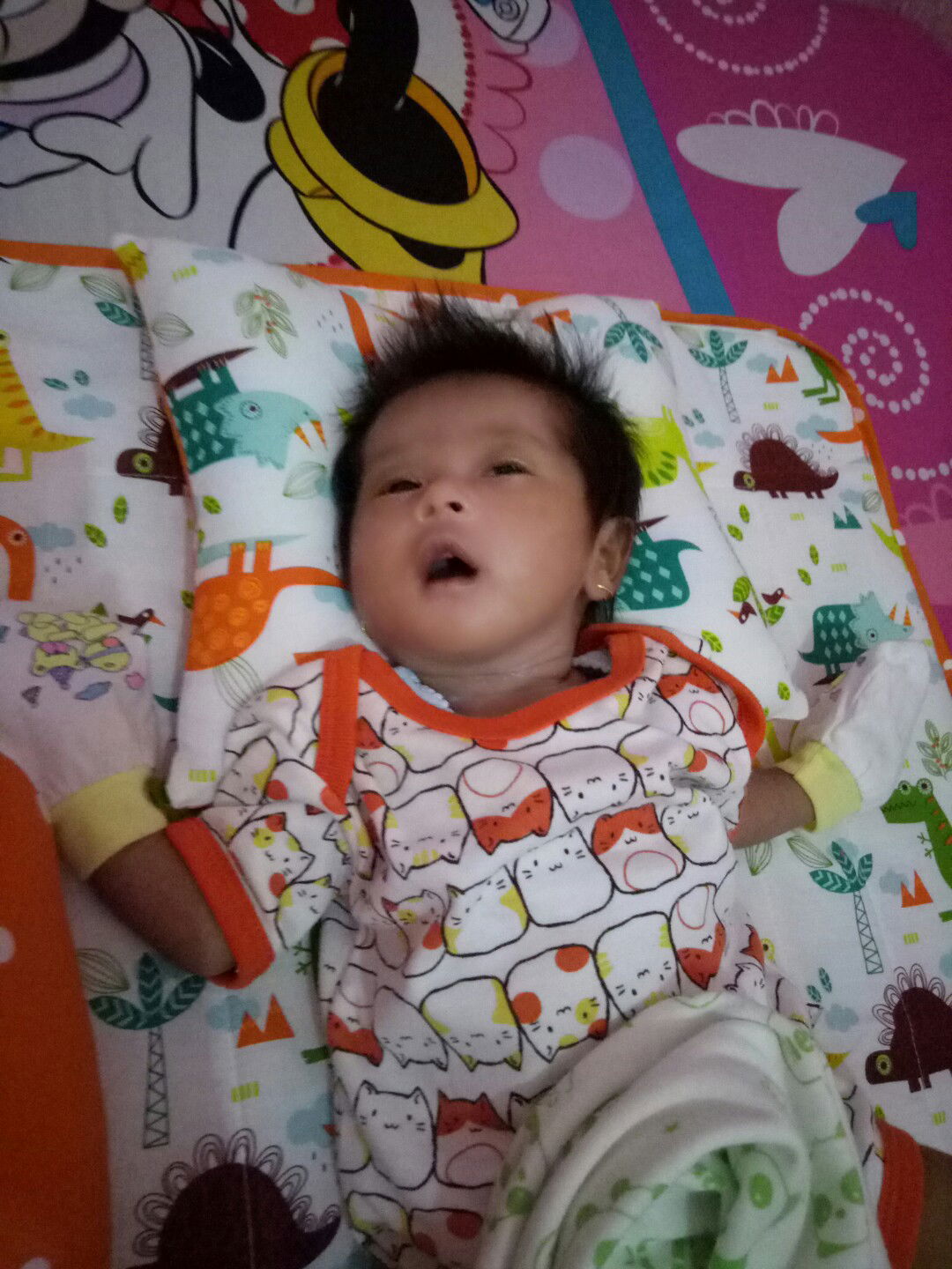 bayi tdr mangap