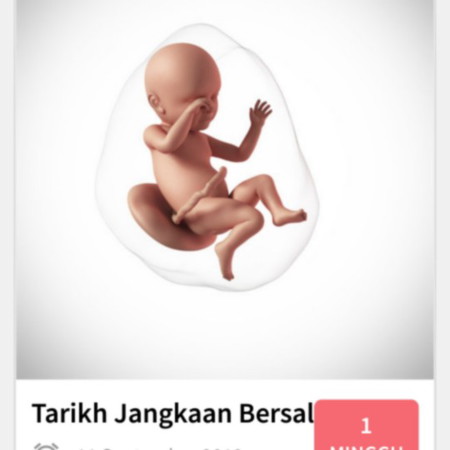 38w5d