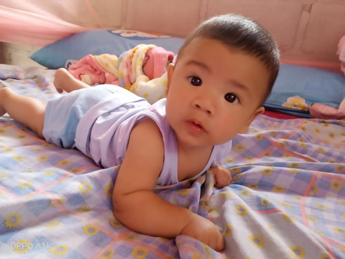 ขอดูลูกเดือนพฤศจิกายนหน่อย