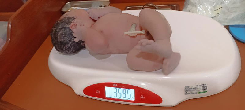 Hpl 28 februari lahir 15 feb